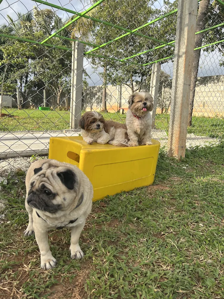 Ending on a Sweet Note with Tasty Treats